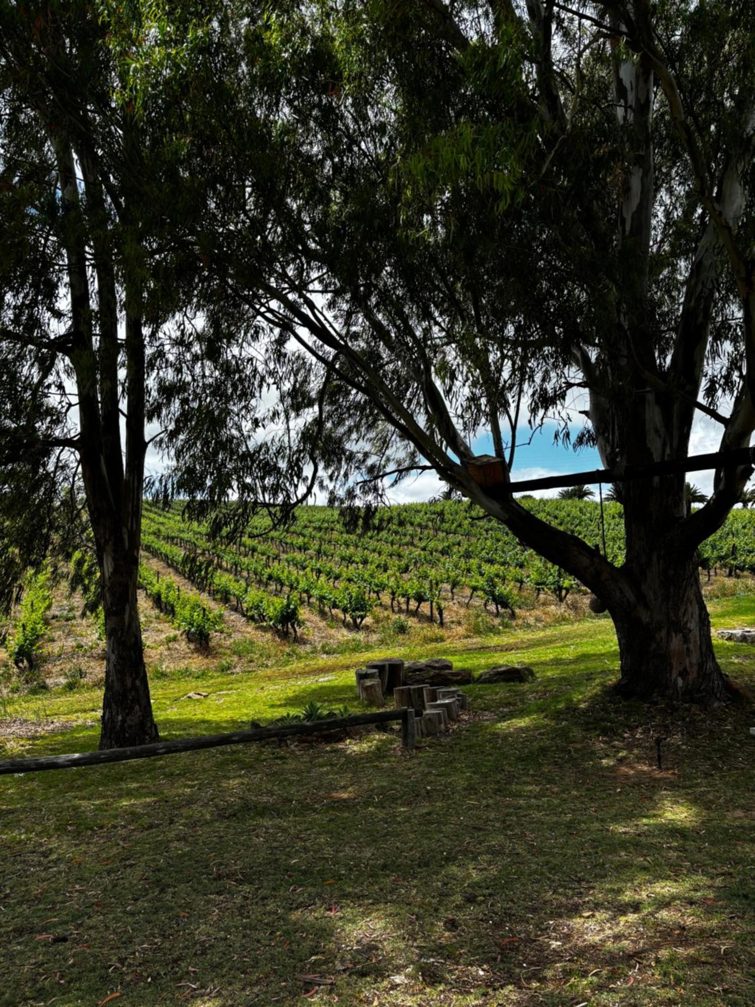 Arendsig Wine Estate & Cottages Bonnievale Esterno foto